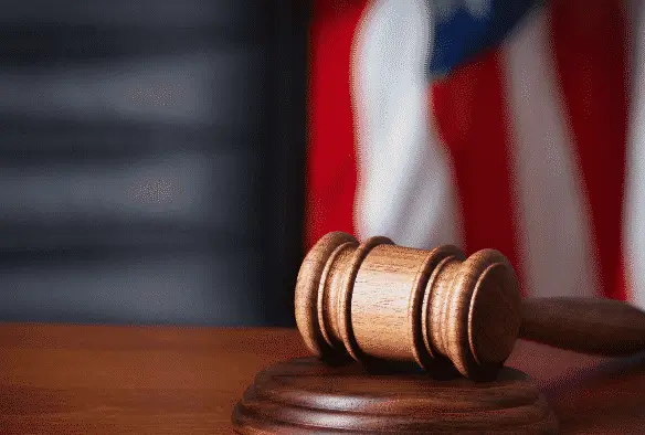 Fitter Law Local Counsel Services